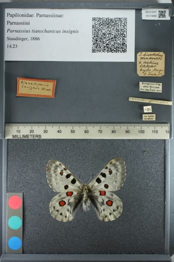 Media type: image;   Entomology 174888